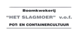 Het Slagmoer